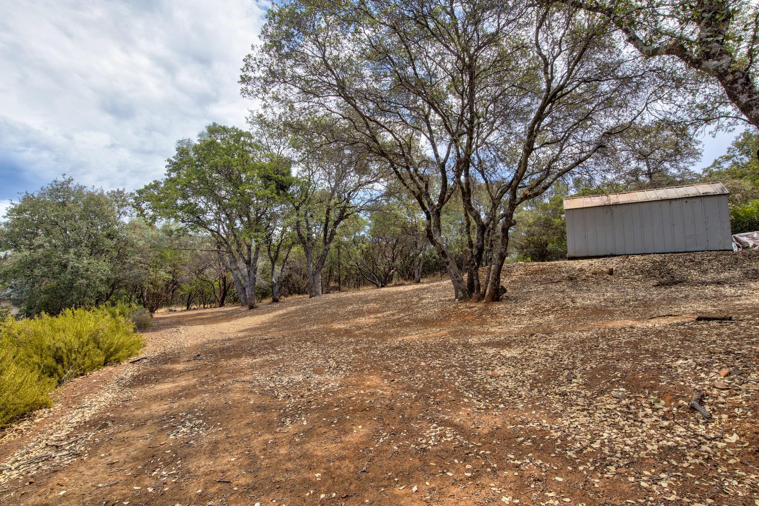3180 Grillo Drive