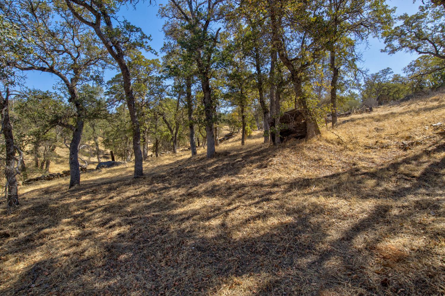 4115 Arbolada Drive