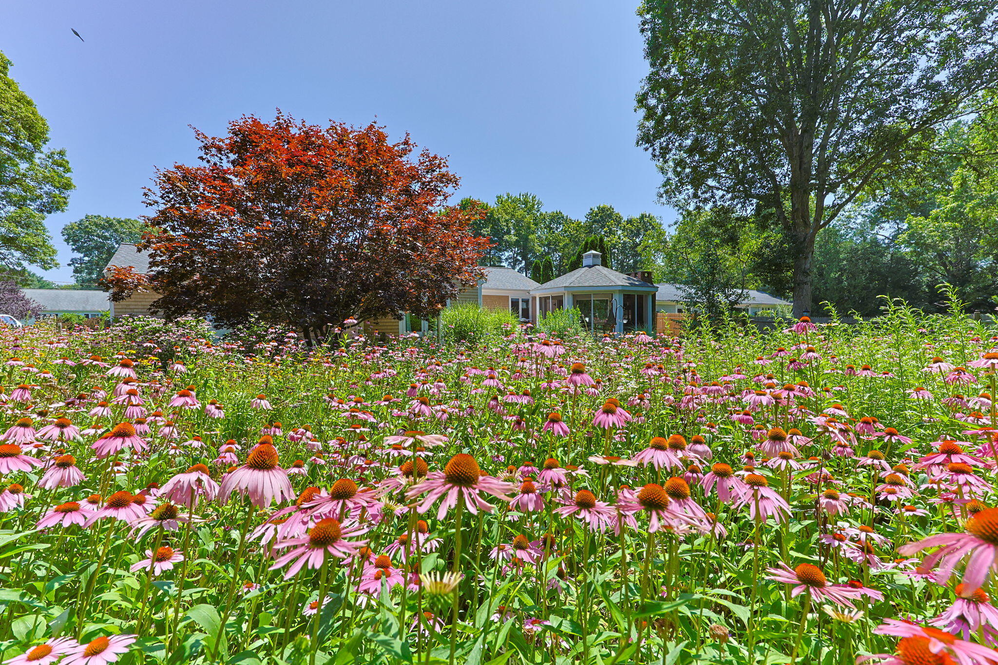 149 Sheaffer Road