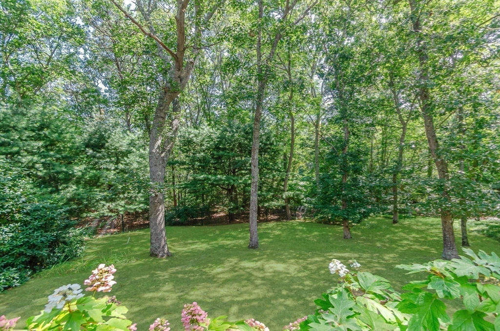 35 Meadow Haven Dr