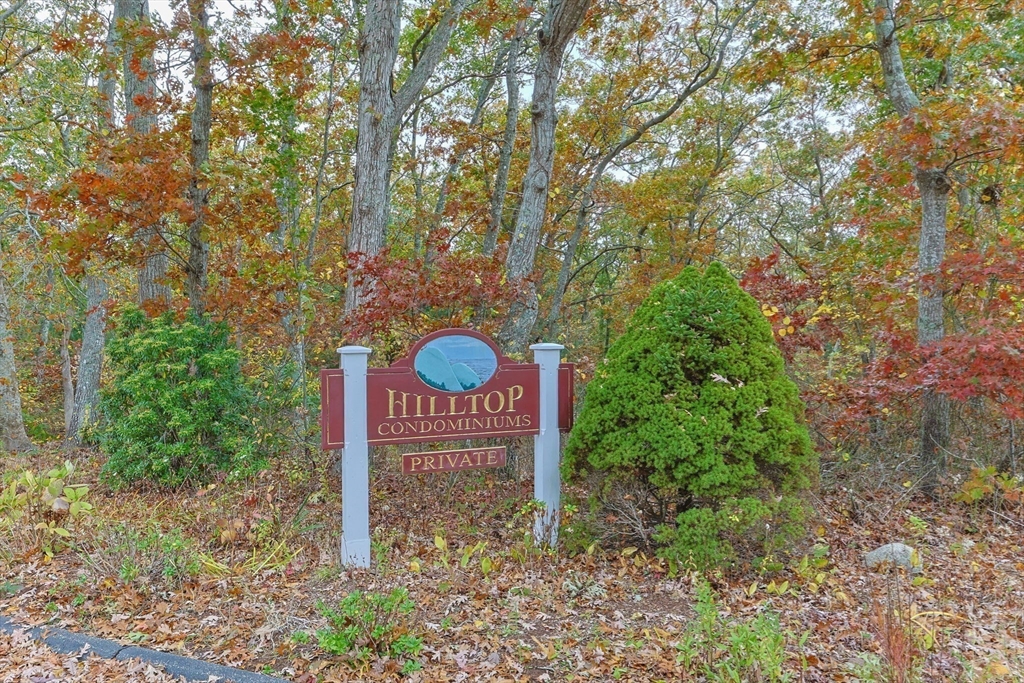 7 Hilltop