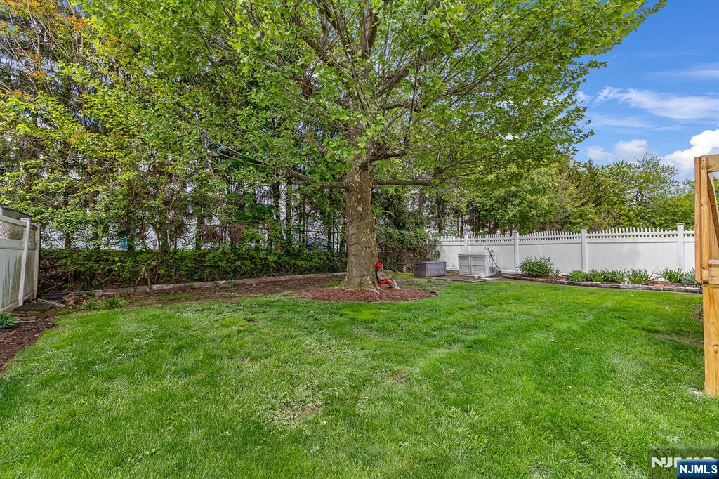 347 Mansfield Avenue