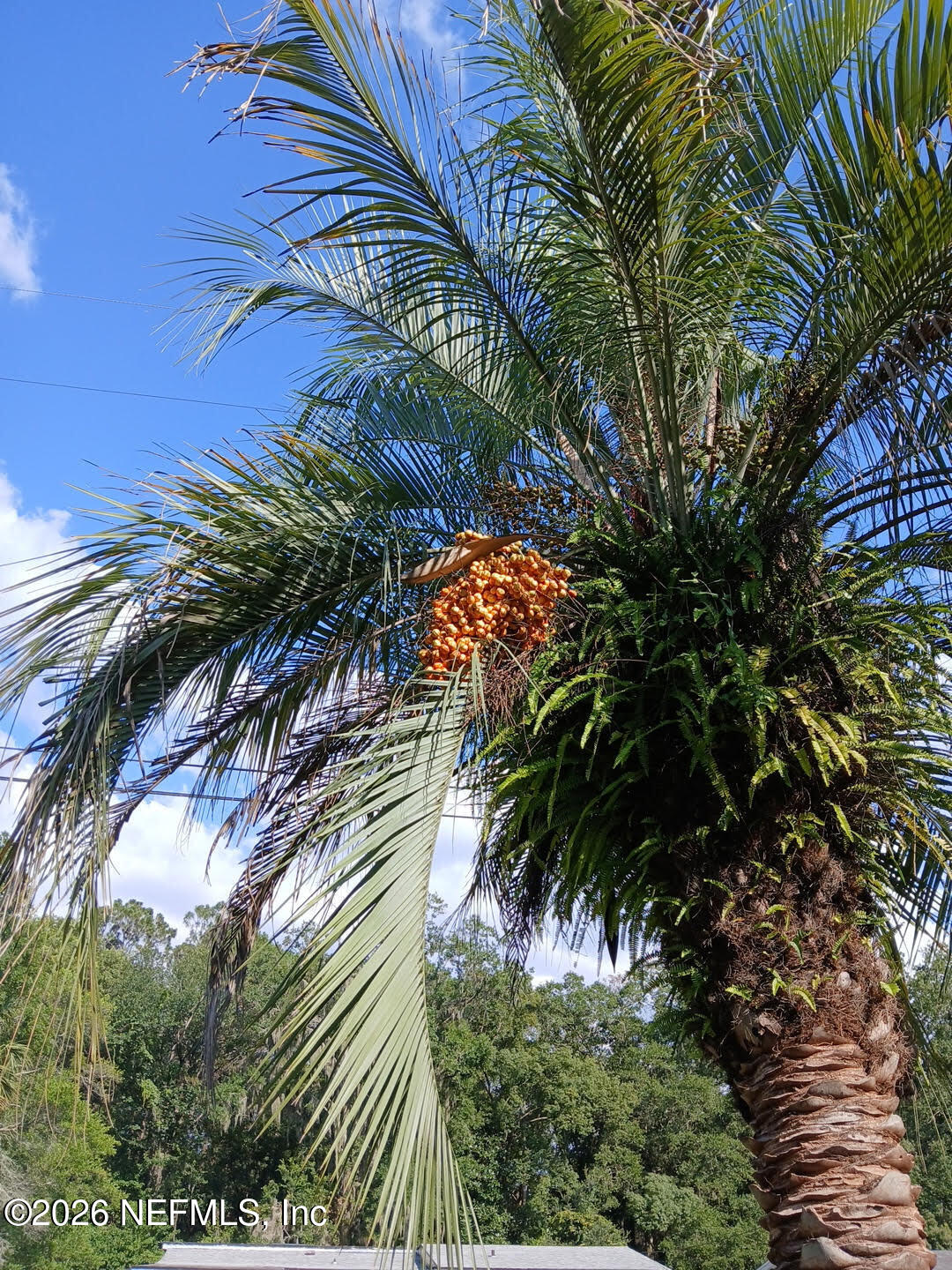 4909 FREDERICKSBURG Avenue