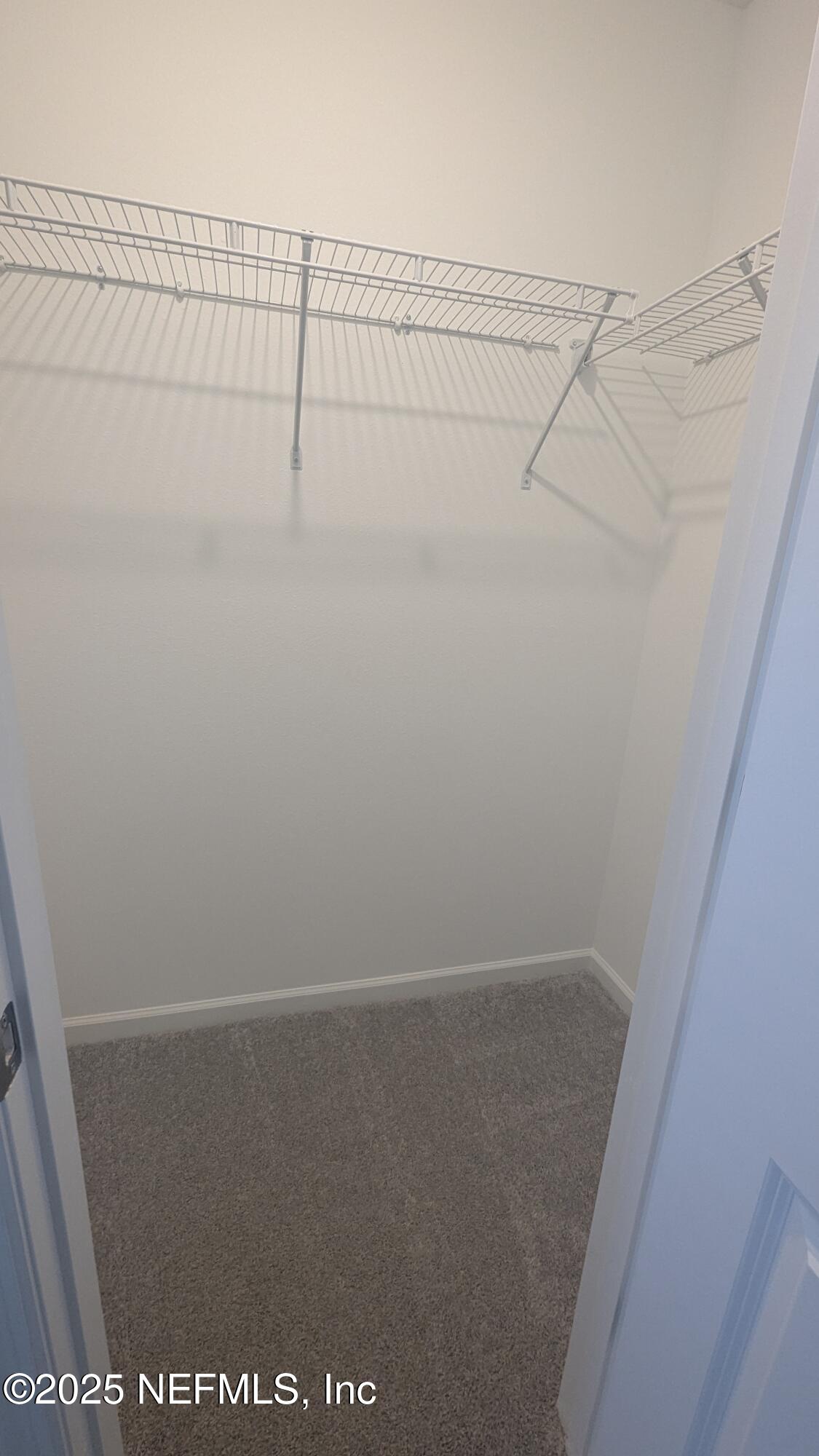 559 HOLLY LAKES Drive