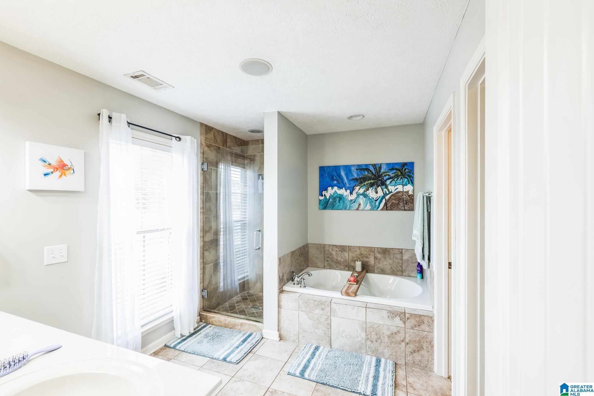 736 BUENA VISTA LOOP