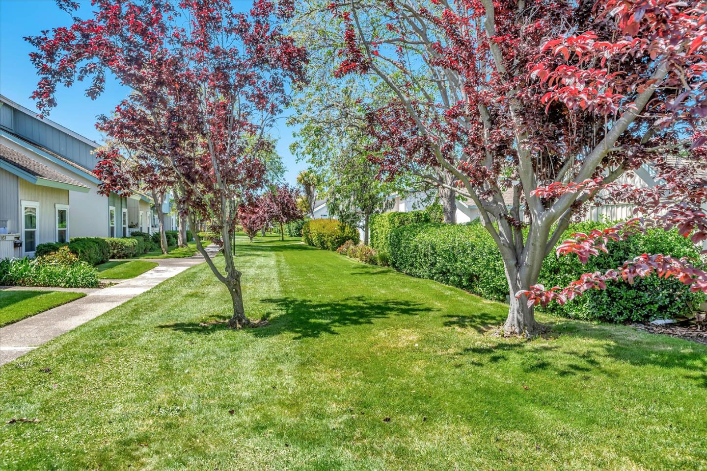 1044 Eagle Lane