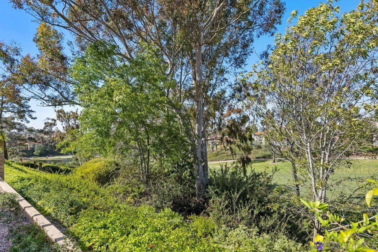 11752 Caminito Corriente