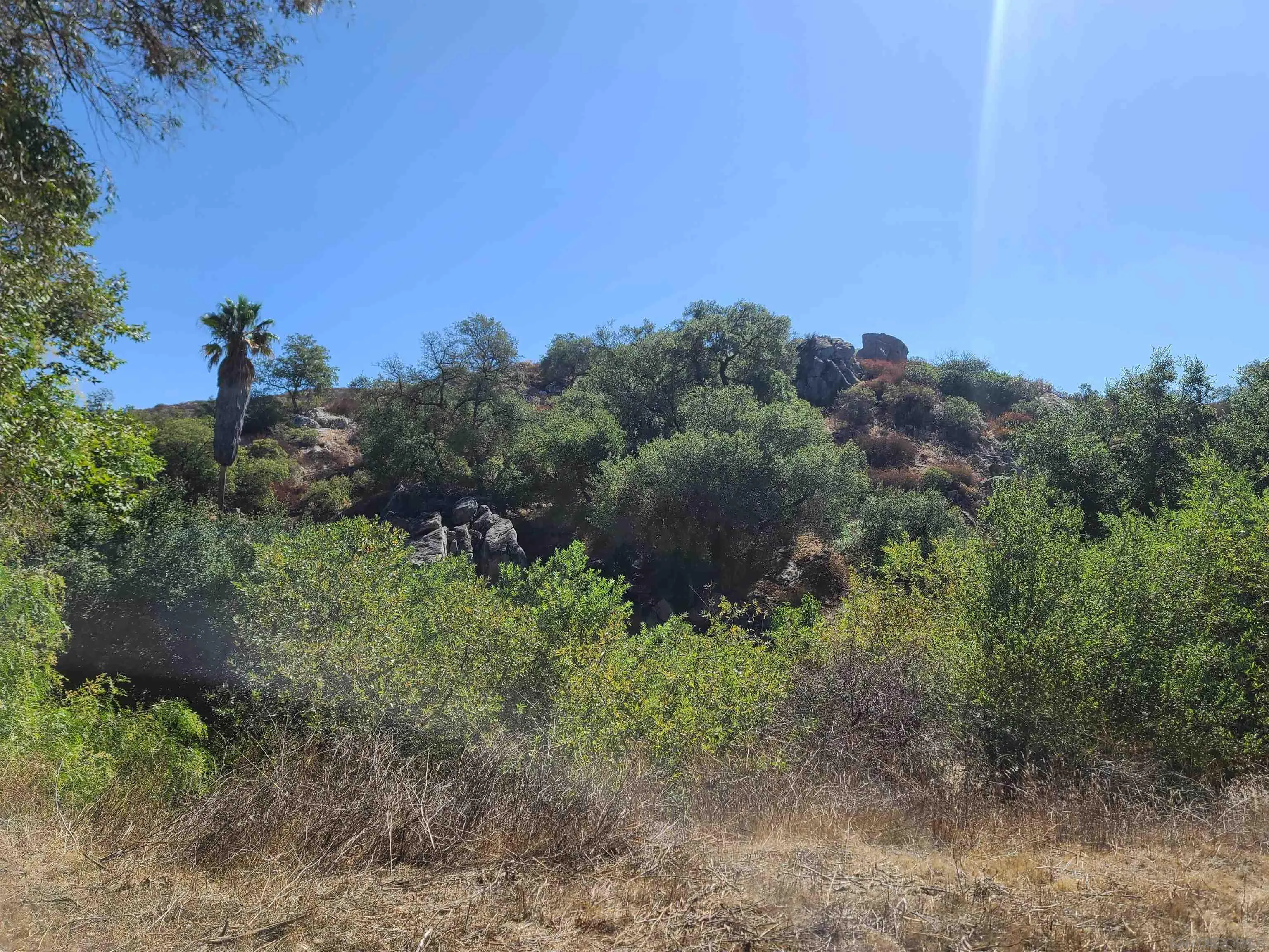 19360 Camino Vista Rd.