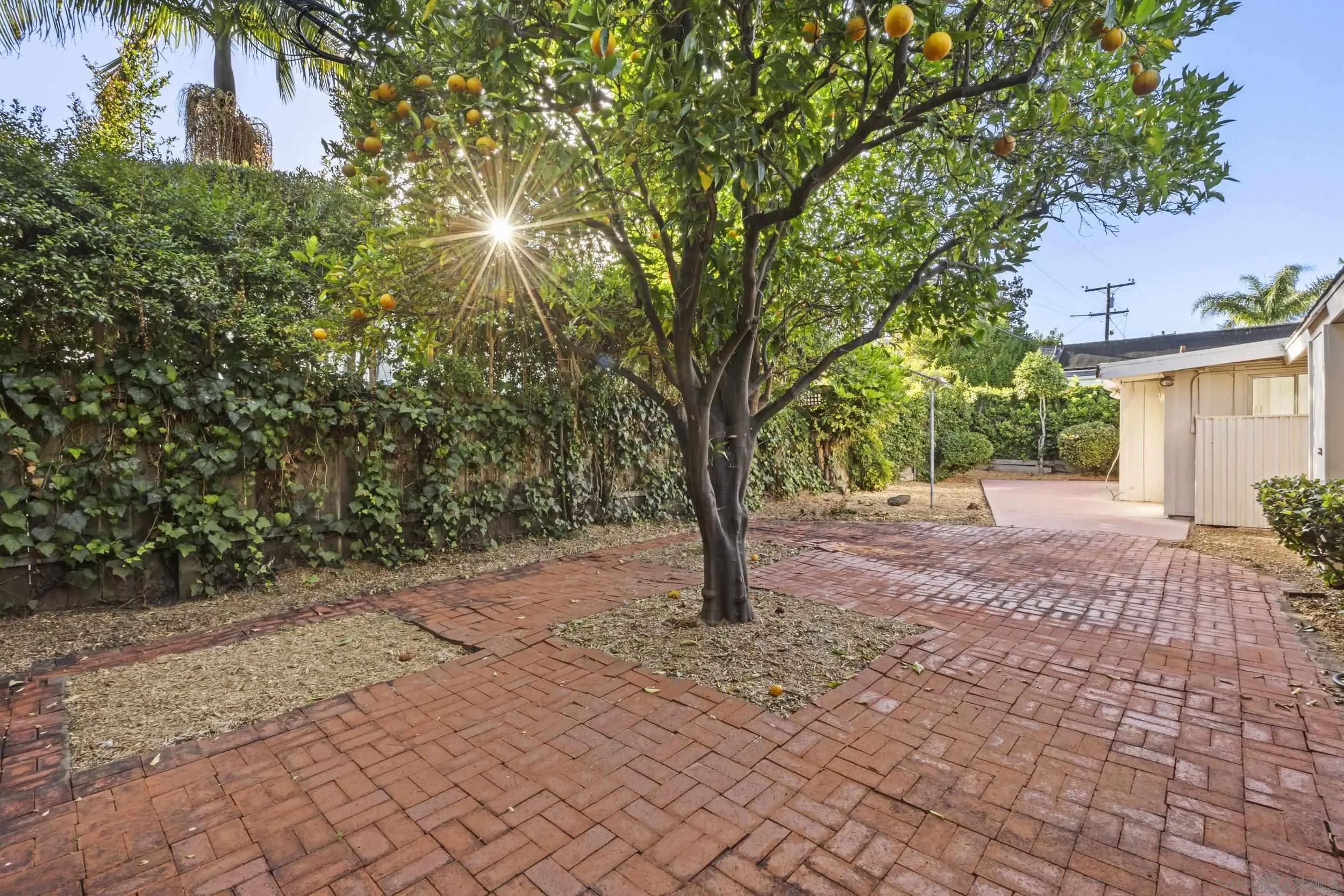 1010 Alameda