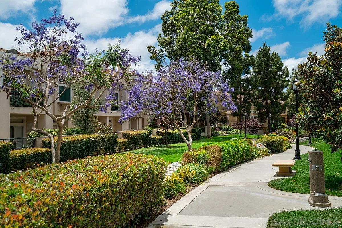 7274 Shoreline Dr Unit 117