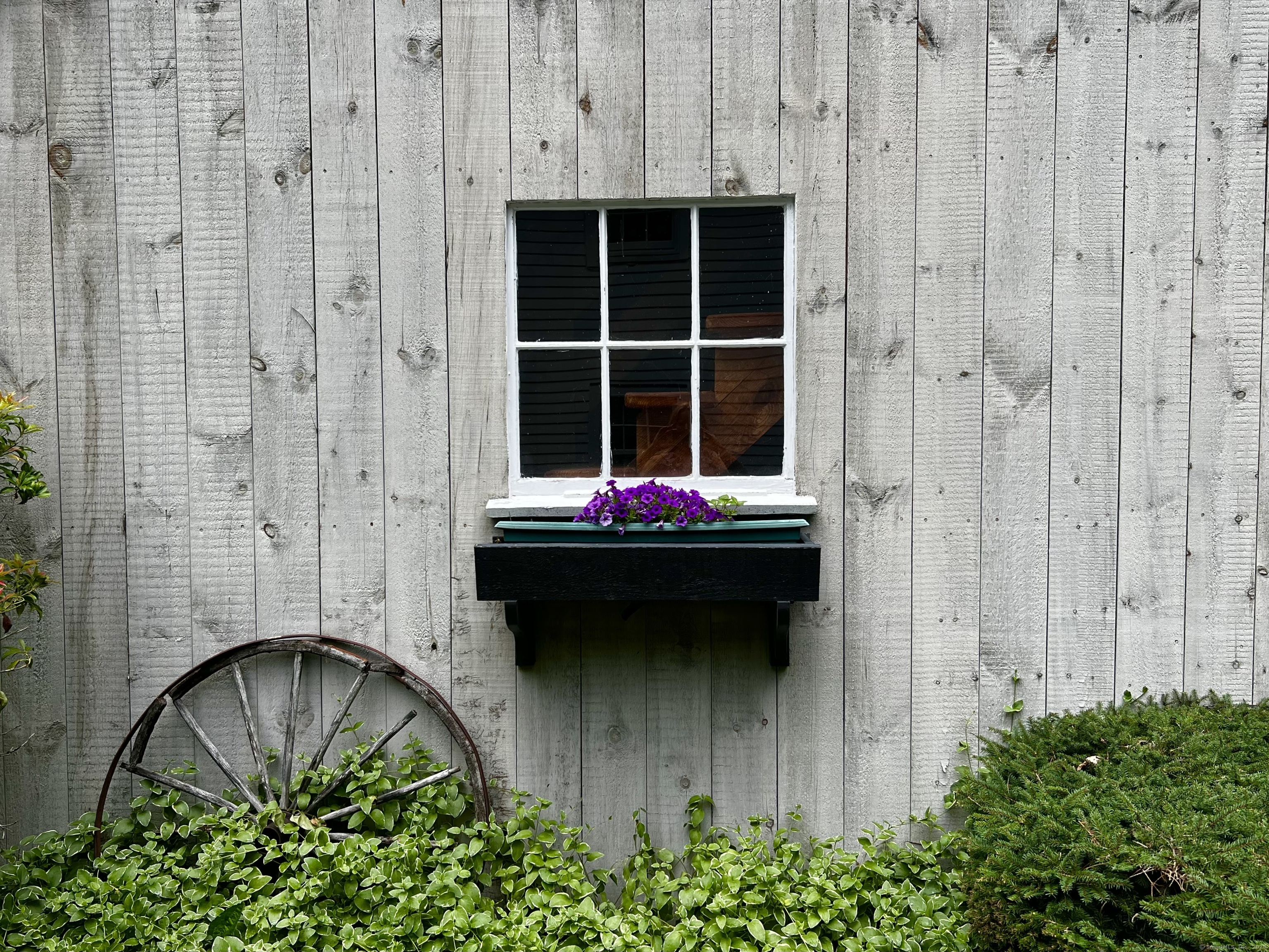 262 Linden Tree Road