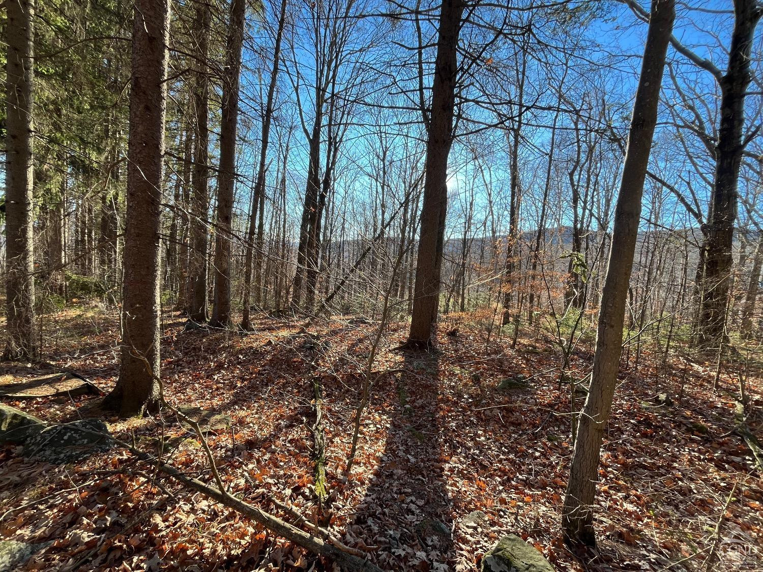 0 Off Mount Pisgah Road