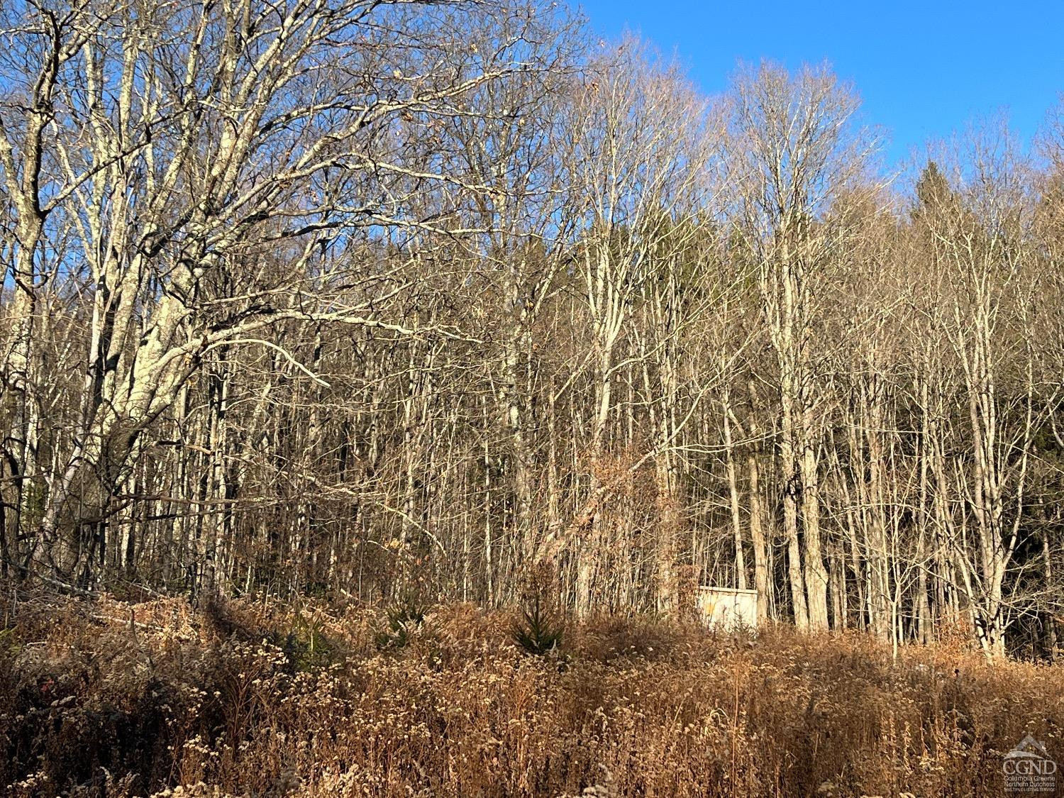 0 Off Mount Pisgah Road