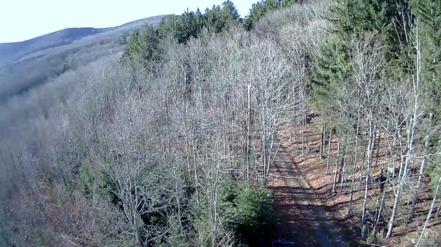 0 Off Mount Pisgah Road