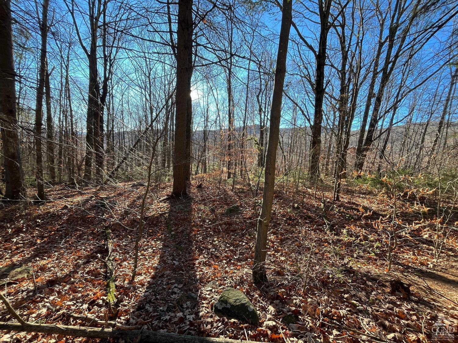 0 Off Mount Pisgah Road