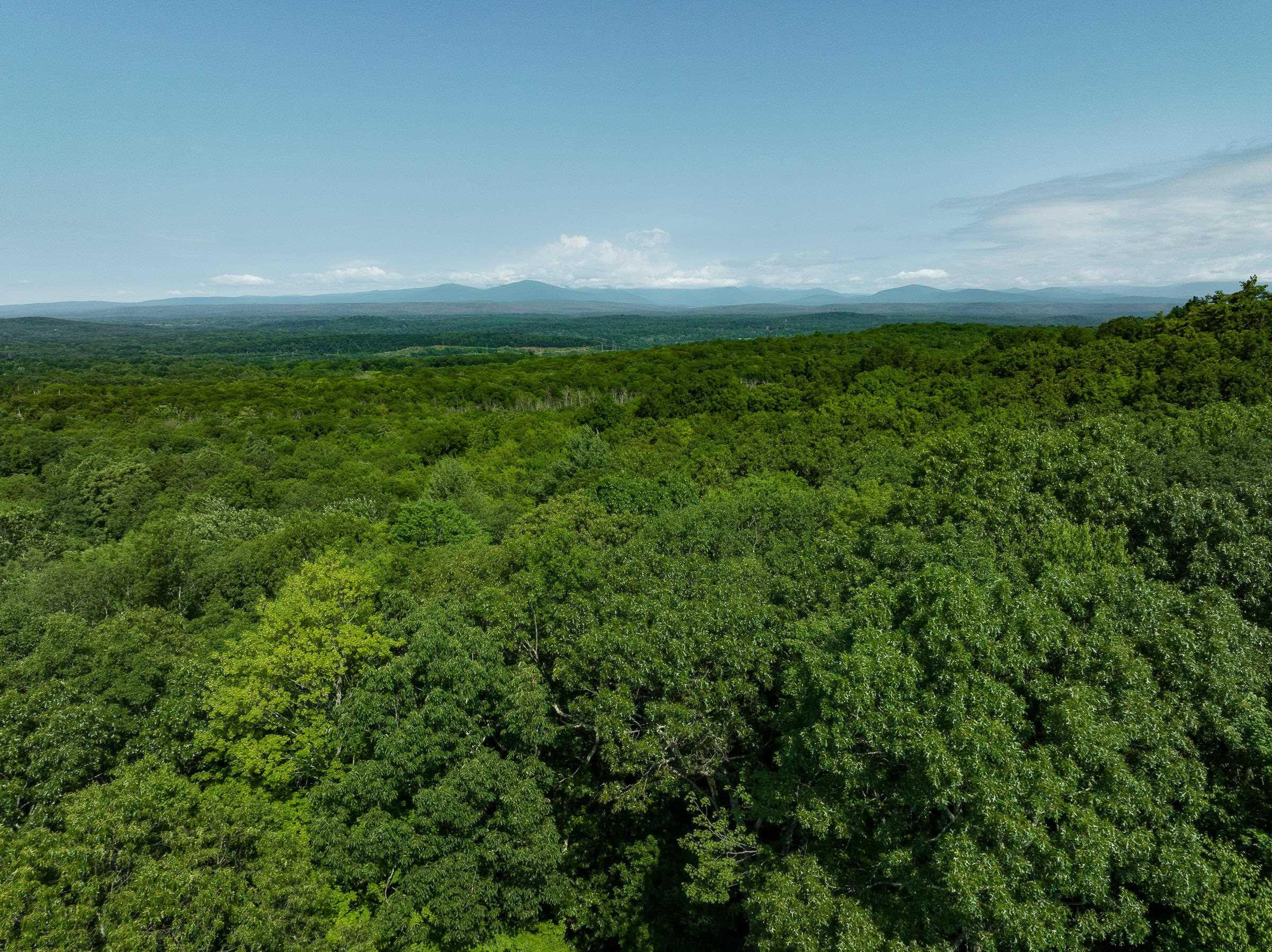 25 Rock Ridge