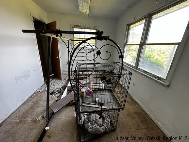 234 Schoolhouse Road