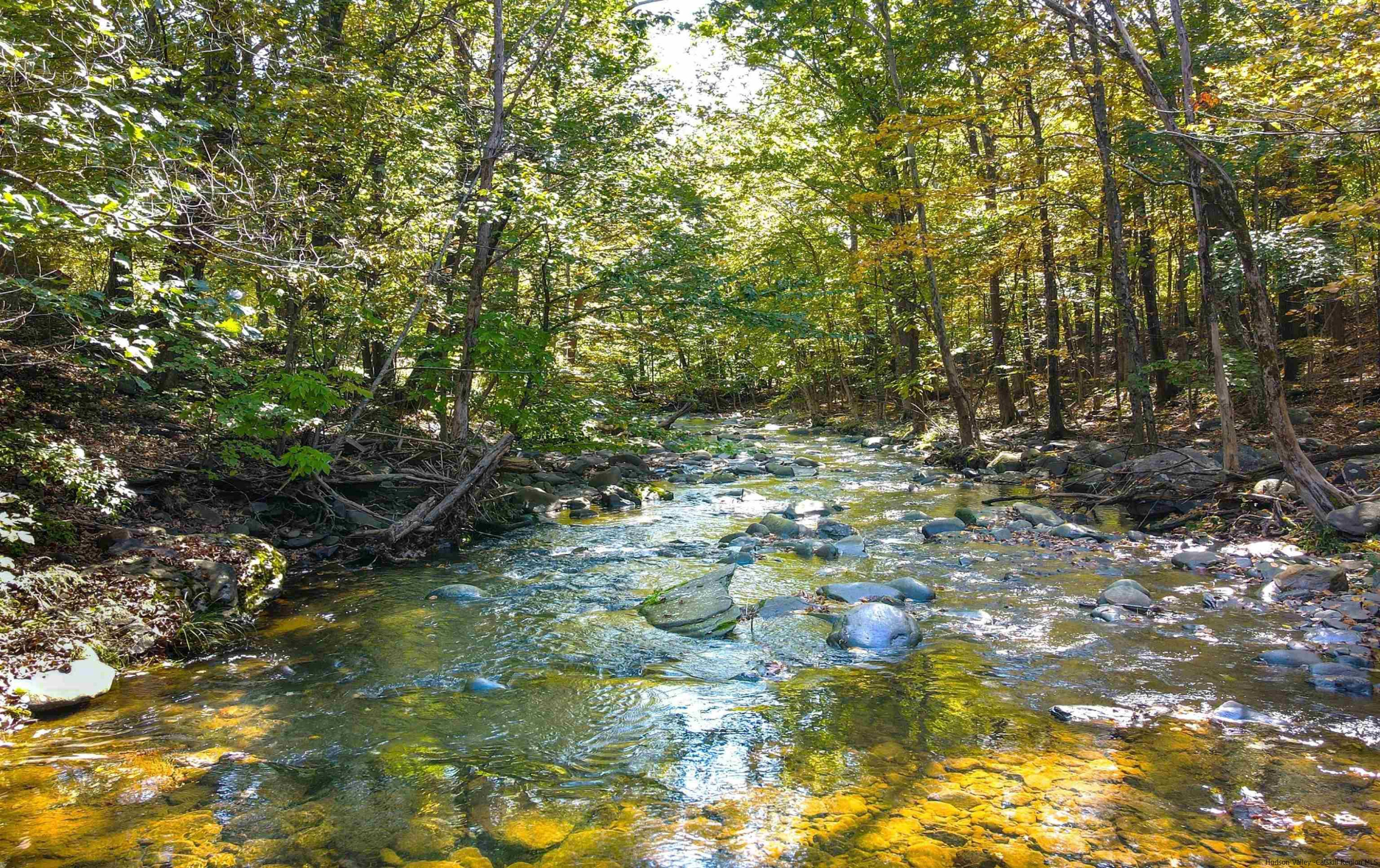 388 W Saugerties Road