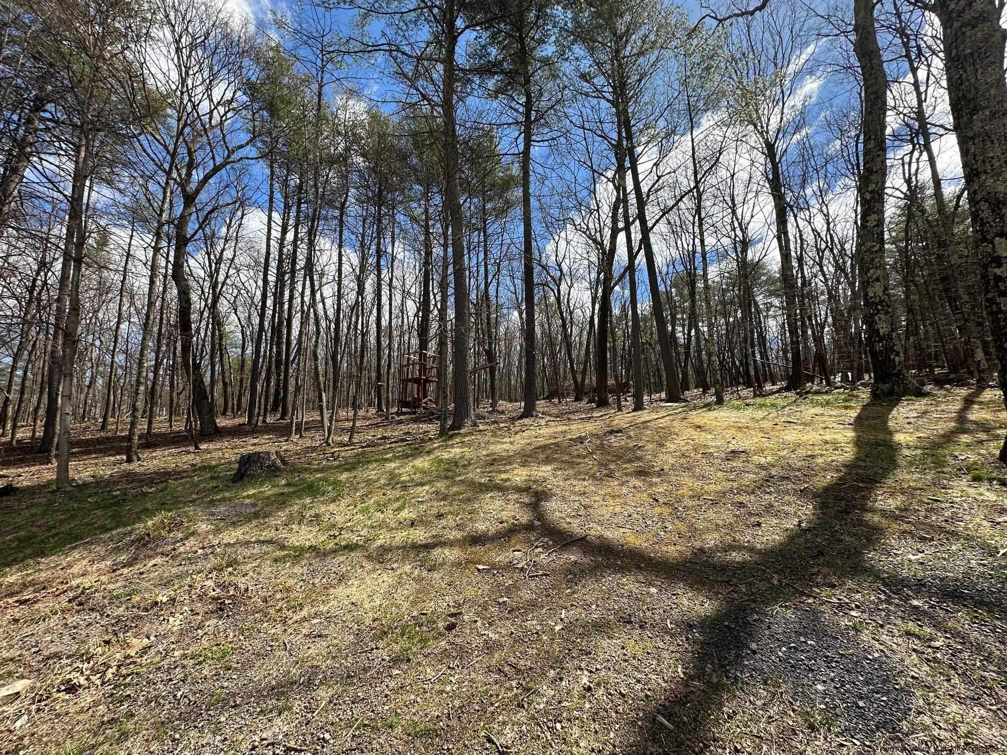 207 5 Mile Woods Road