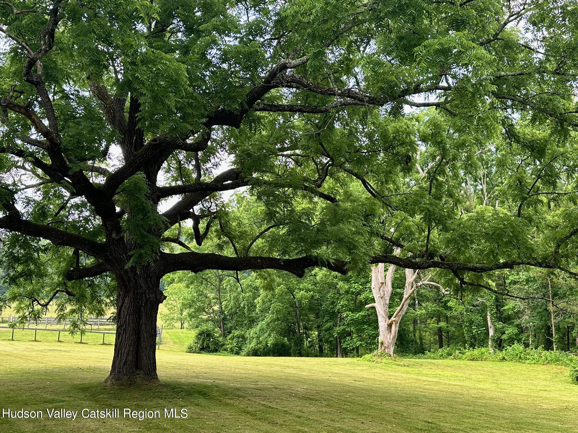 127 Dave Elliott Road