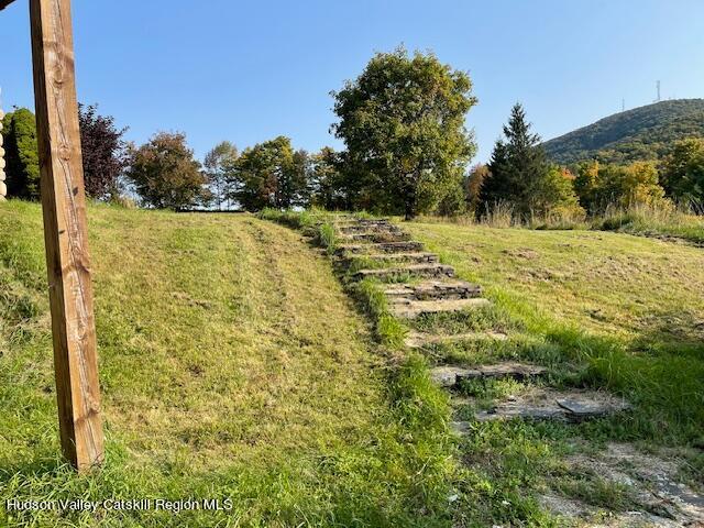 1563 Tower Mountain Road