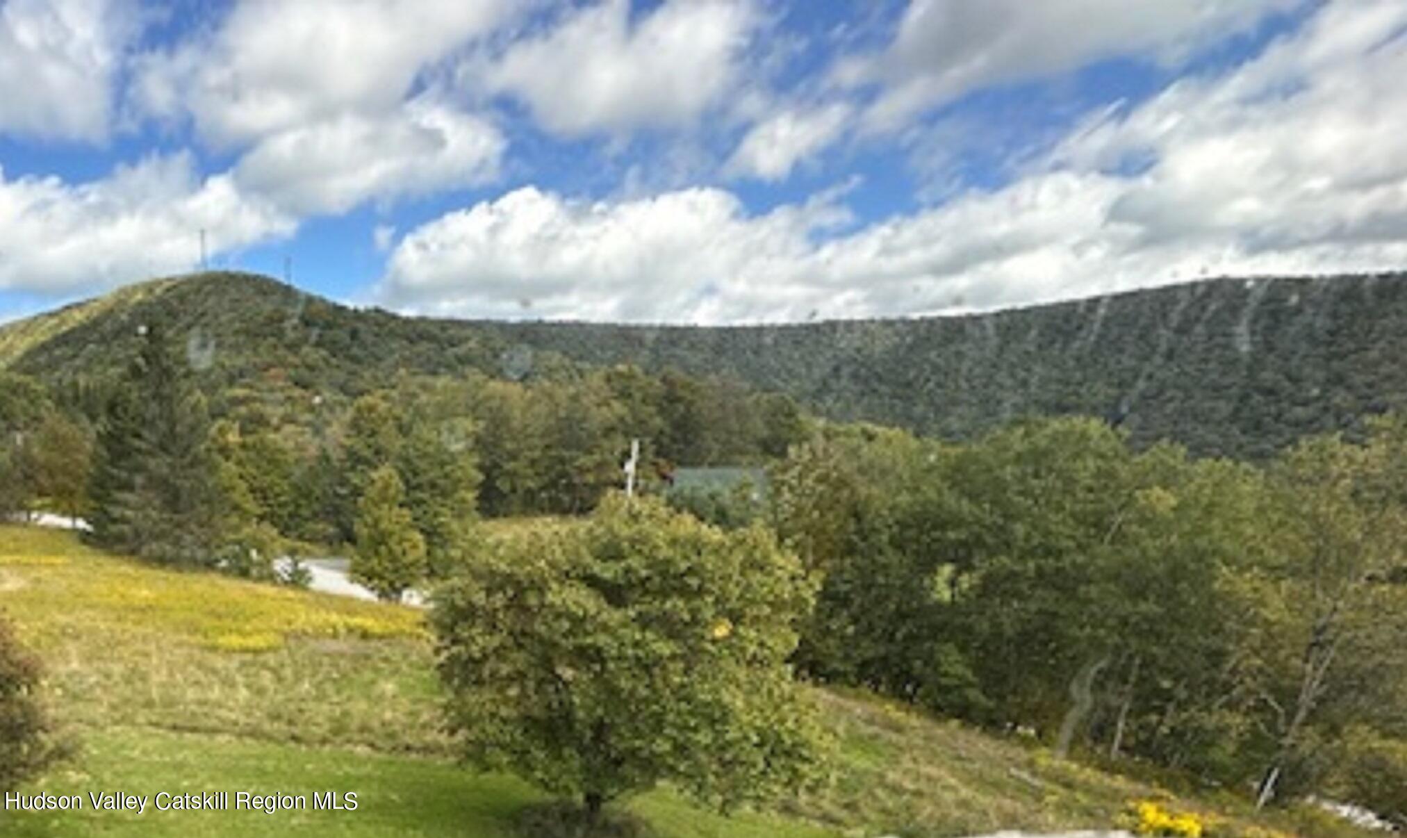 1563 Tower Mountain Road