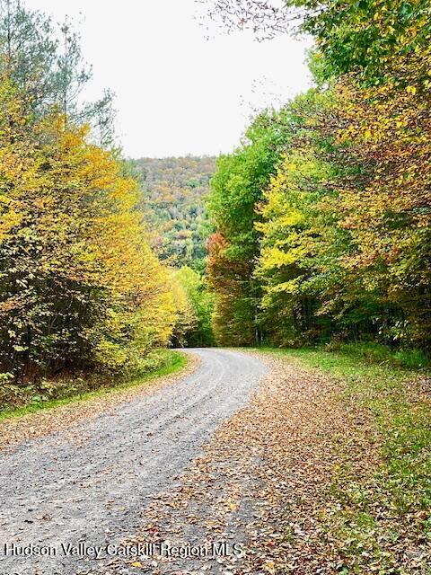 Tbd Alpine Drive