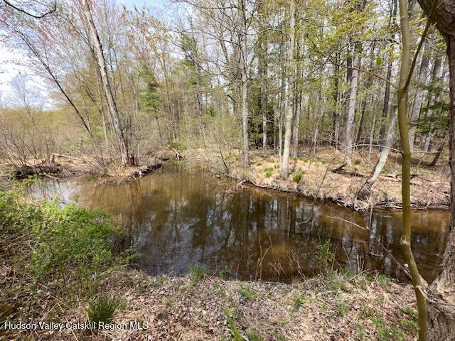 276 Silver Spur Road E