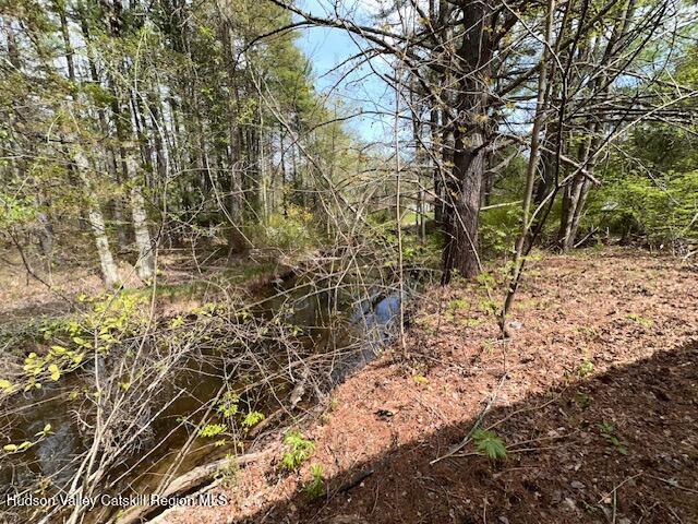 276 Silver Spur Road E