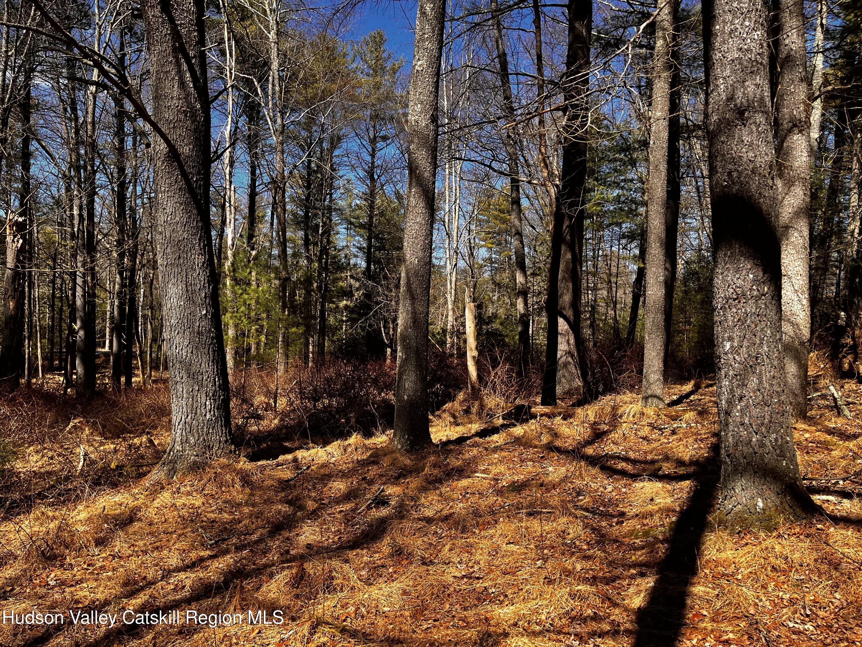 Tbd Glasco Turnpike, between 1171 & 1145