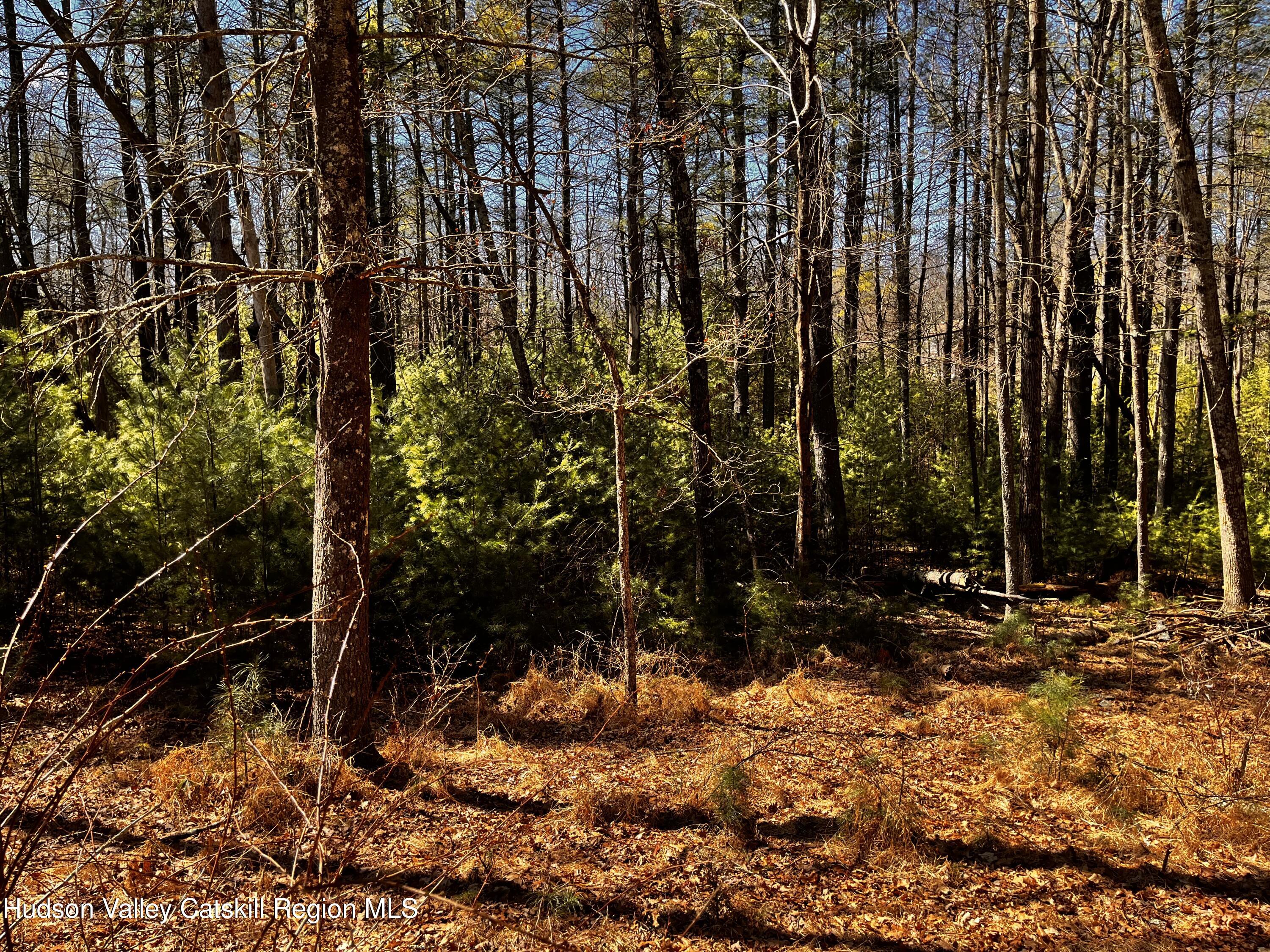 Tbd Glasco Turnpike, between 1171 & 1145