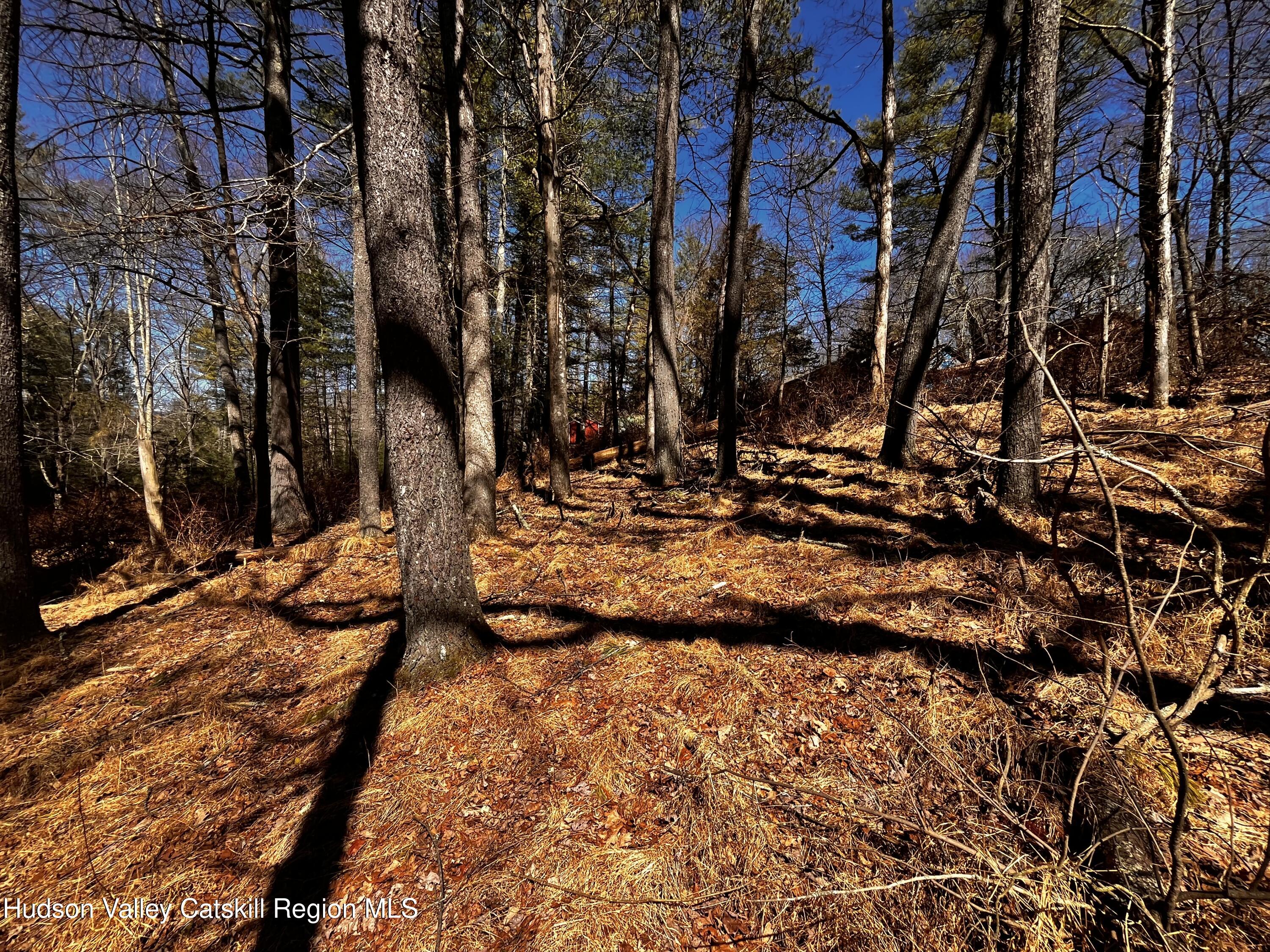 Tbd Glasco Turnpike, between 1171 & 1145