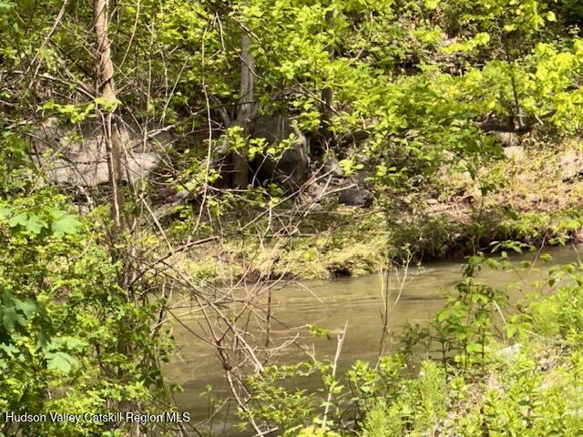 818 Cauterskill Road