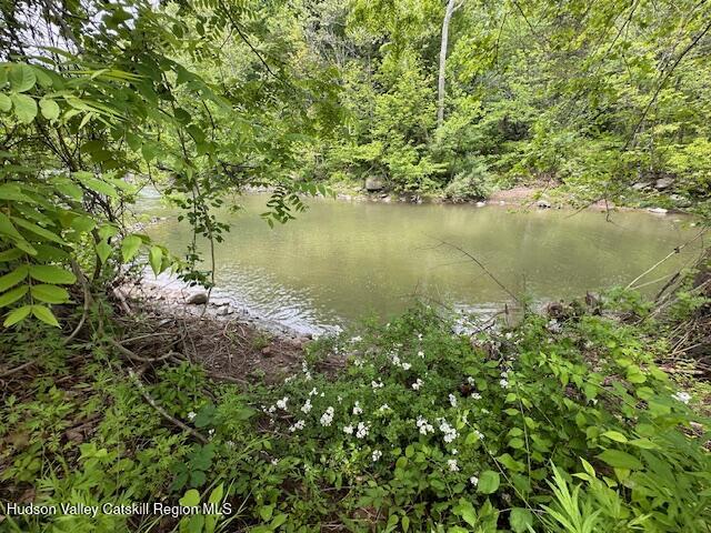 818 Cauterskill Road