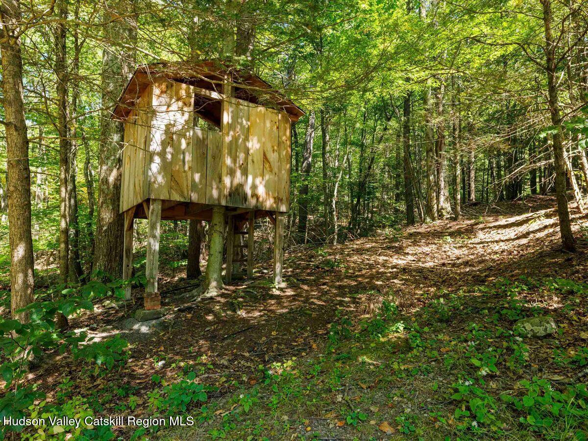 29 Carle Road, Mt. Tremper