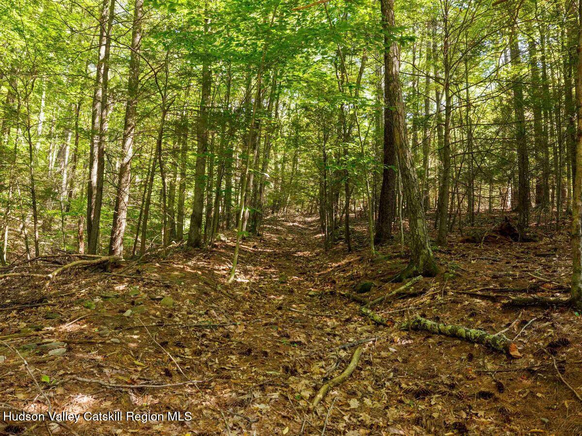 29 Carle Road, Mt. Tremper