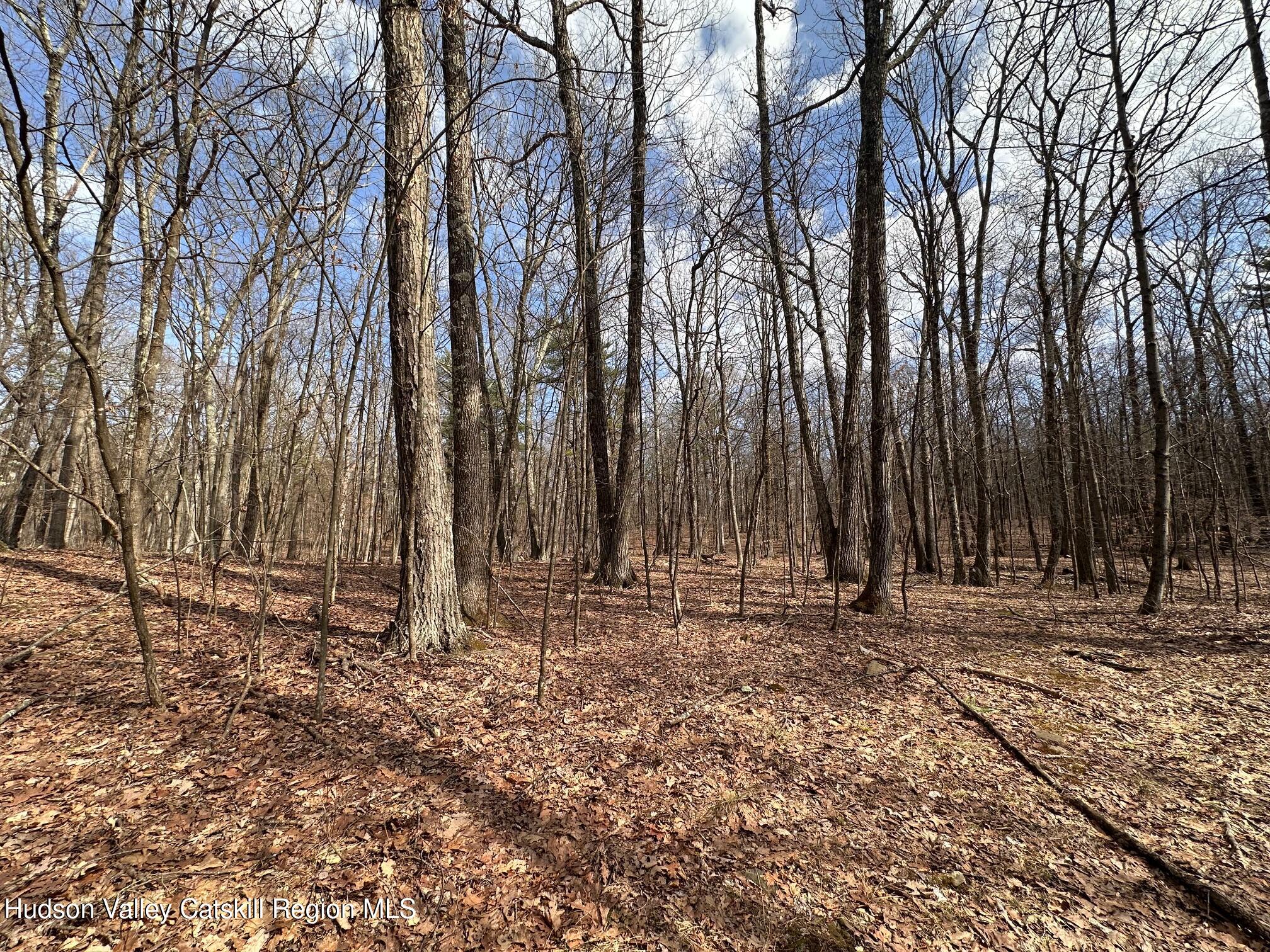 230 Potic Mountain Road