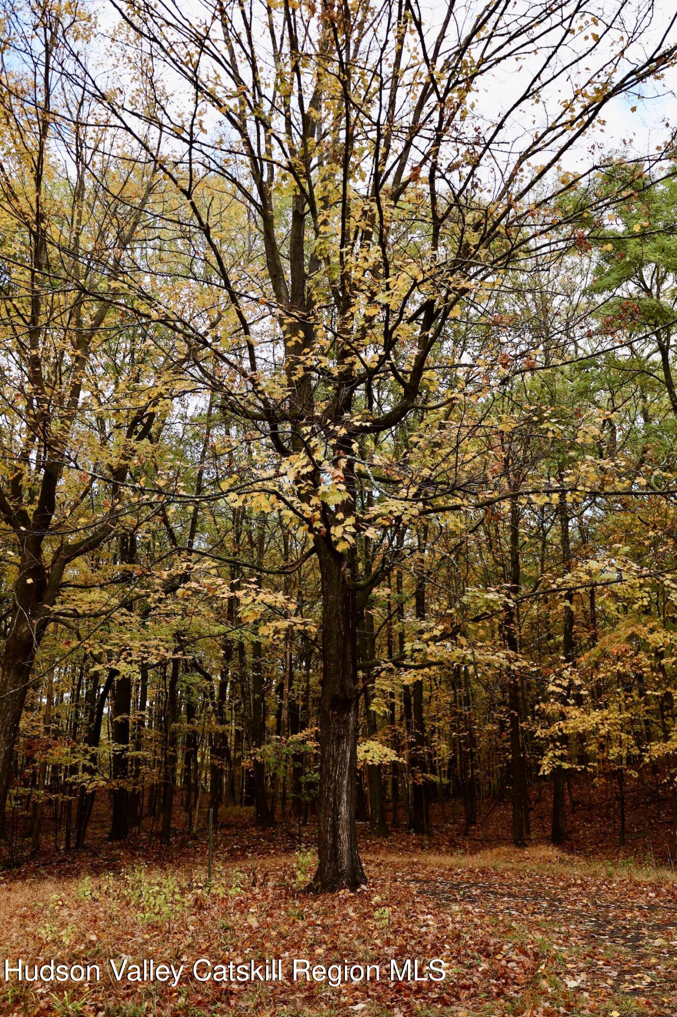 230 Potic Mountain Road