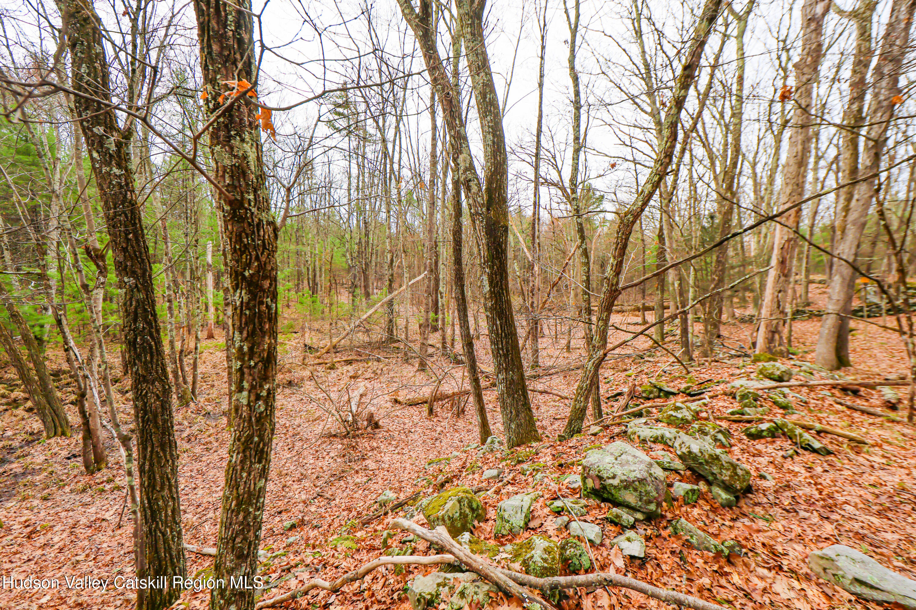 449 Spillway Road