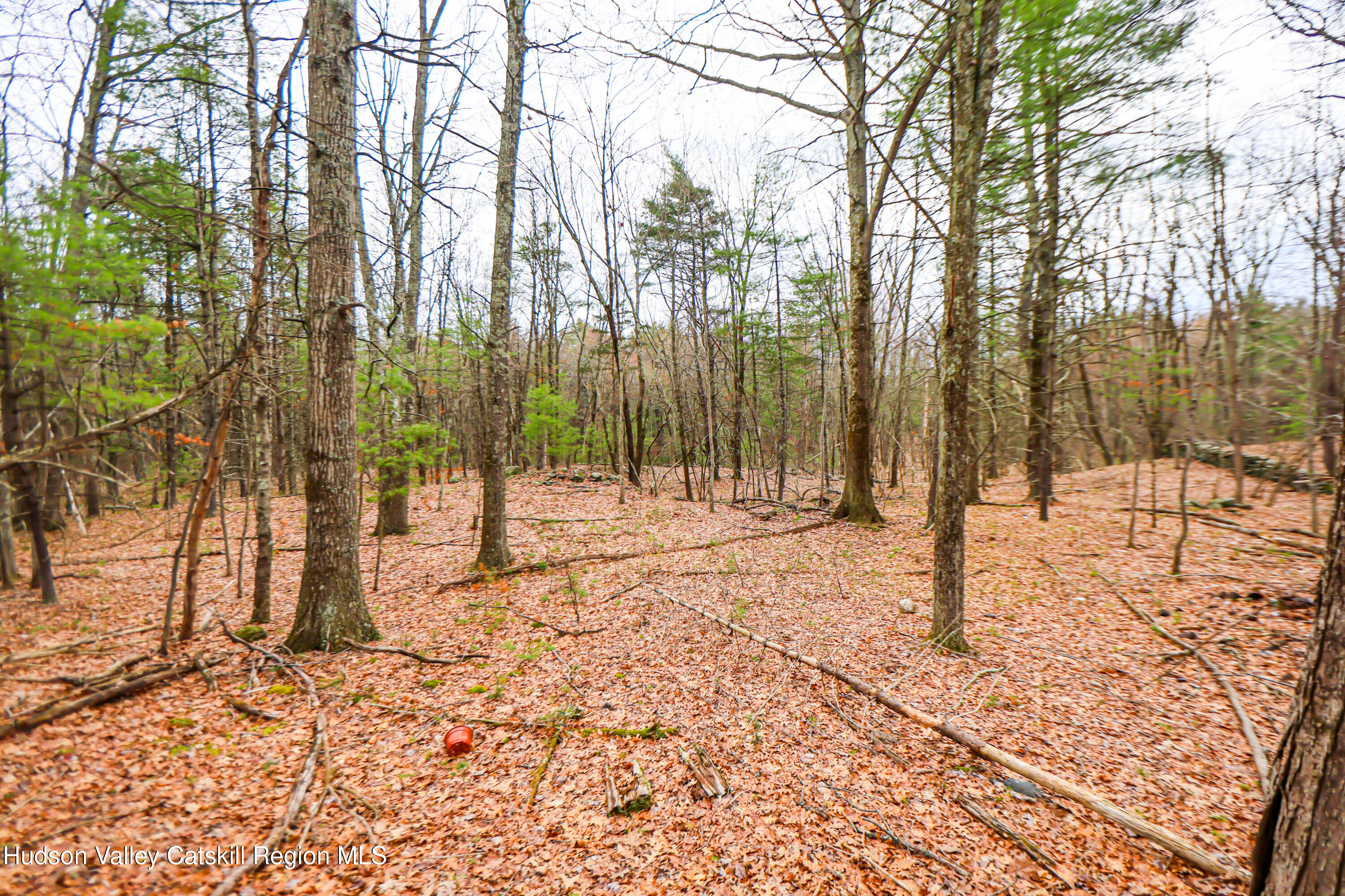 449 Spillway Road