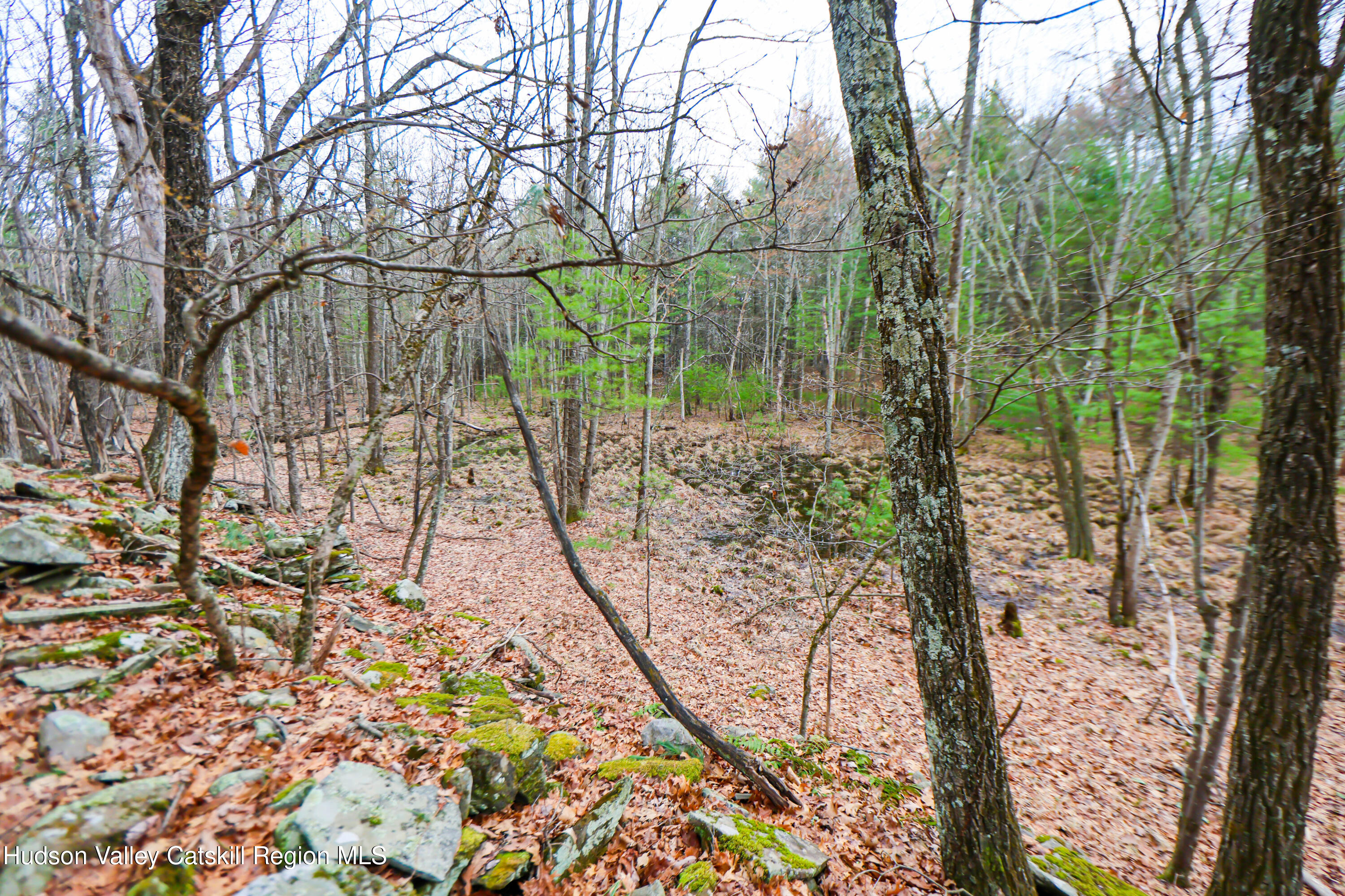 449 Spillway Road