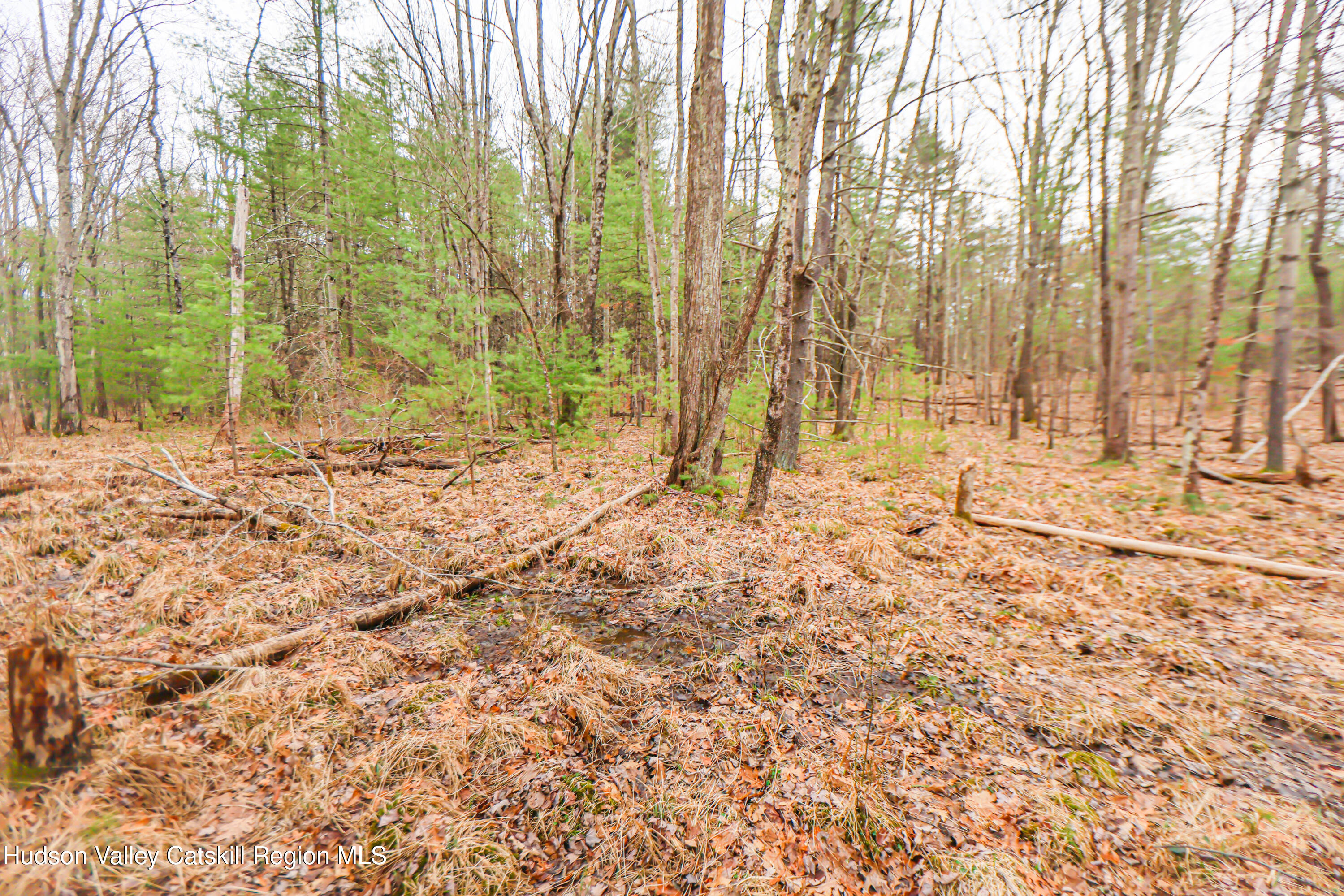 449 Spillway Road