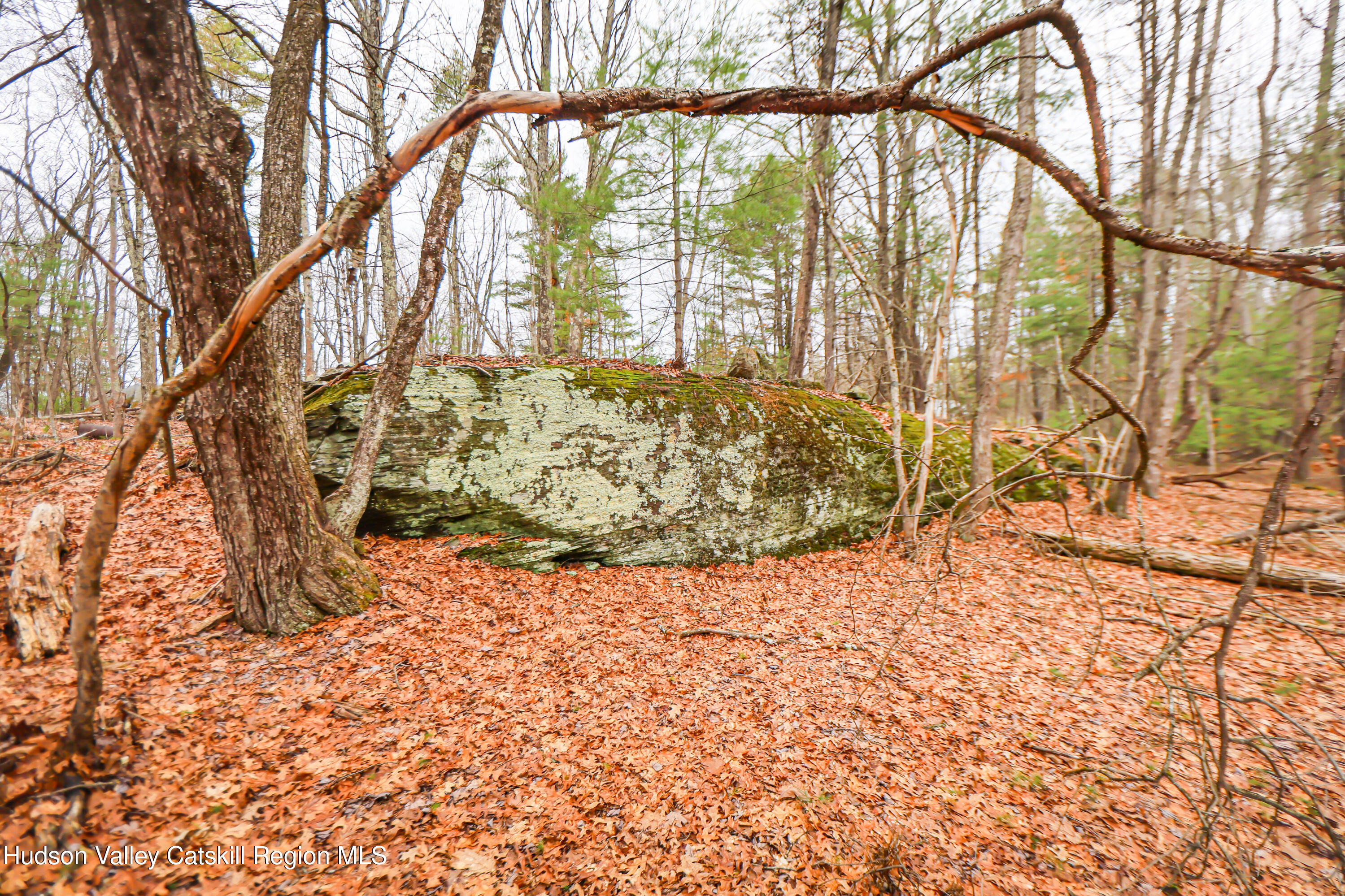 449 Spillway Road