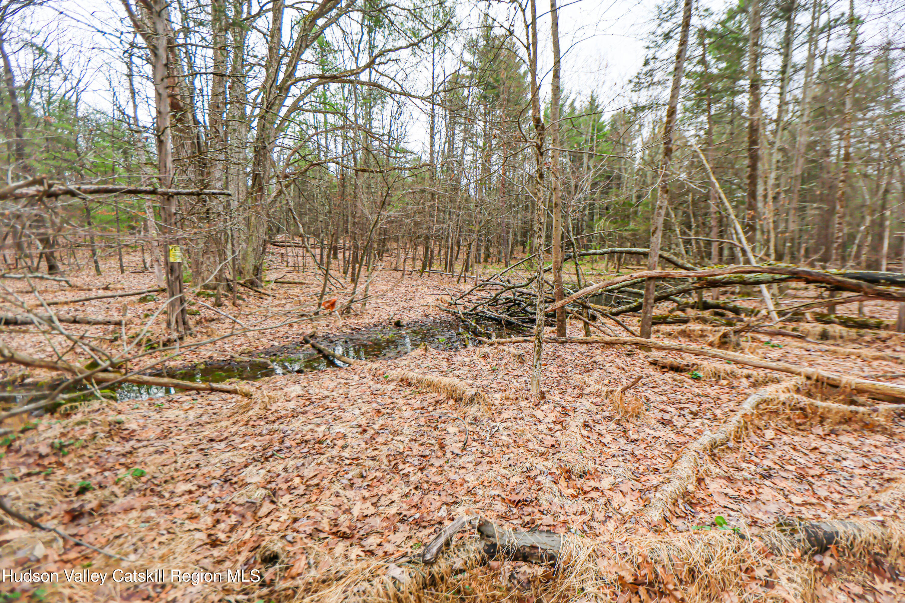 449 Spillway Road
