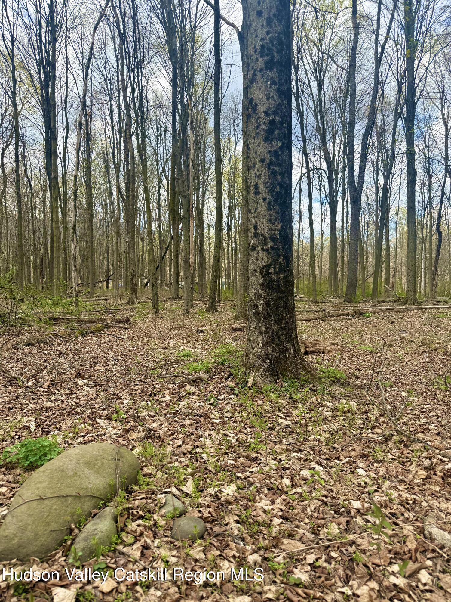 391 Pennsylvania Avenue