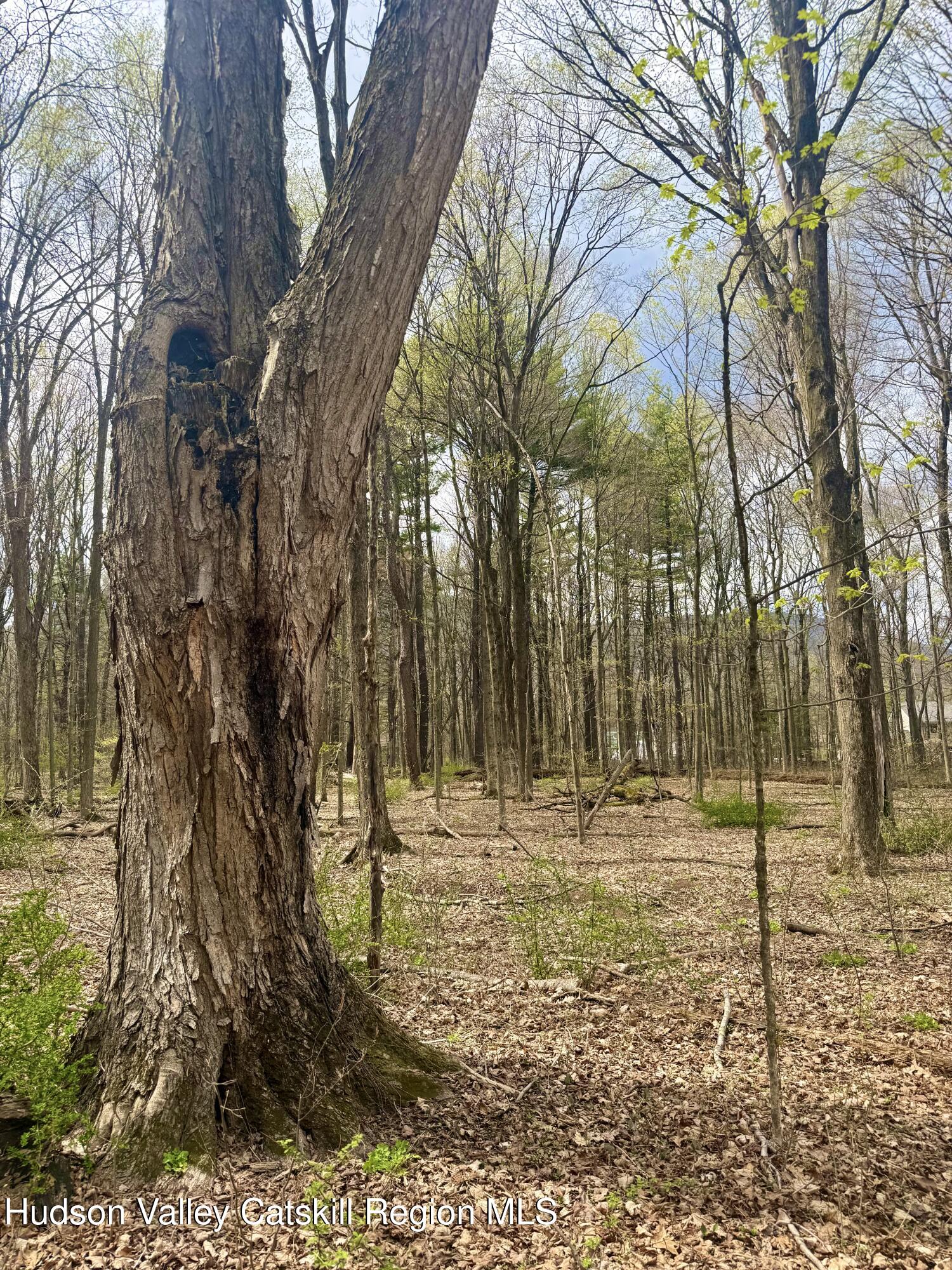 391 Pennsylvania Avenue