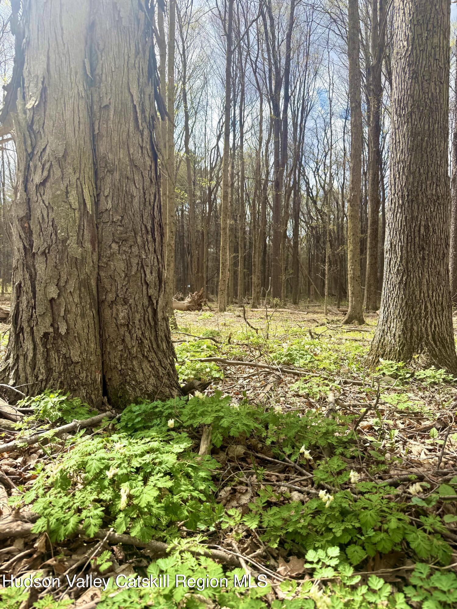 391 Pennsylvania Avenue