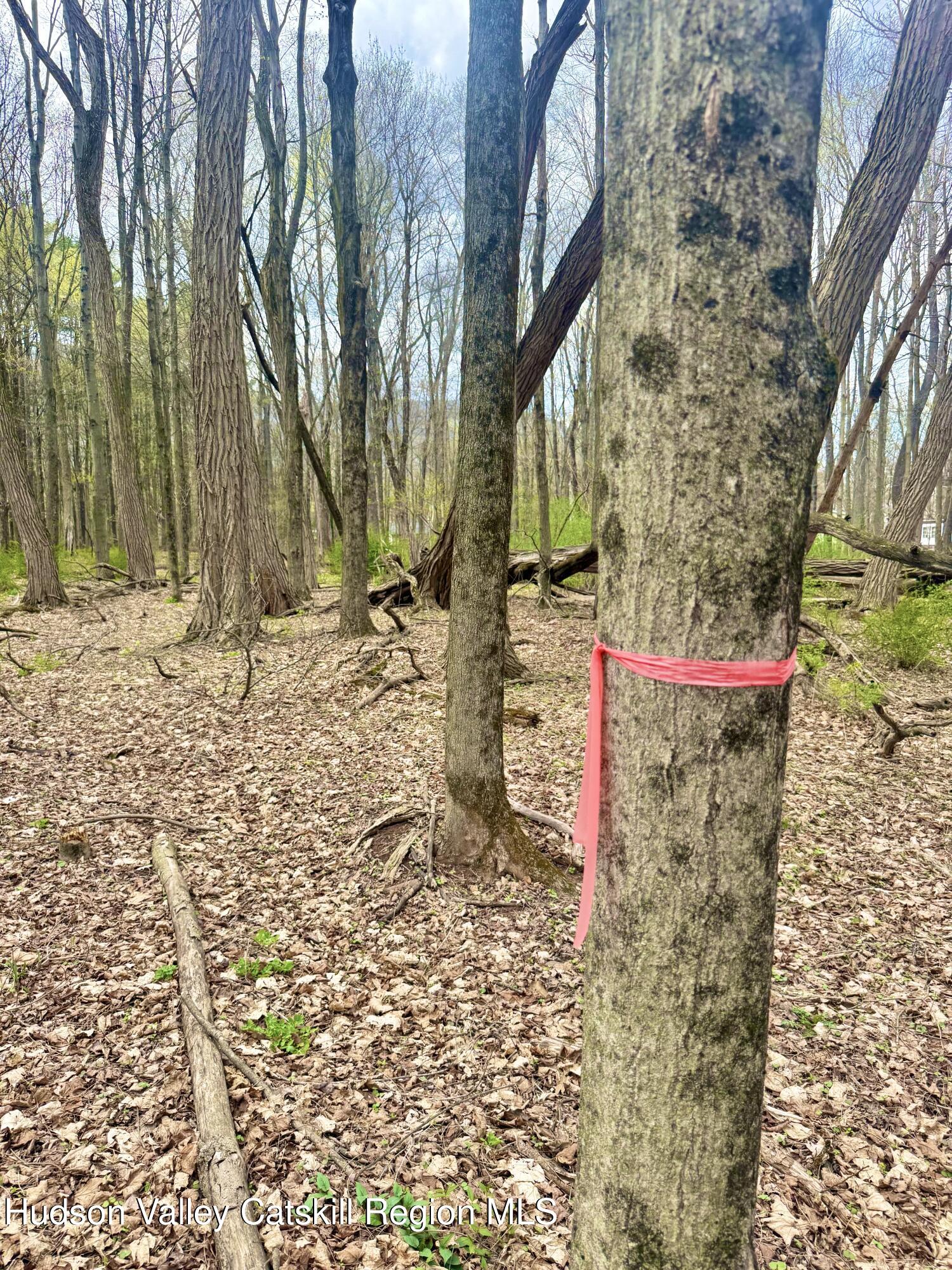 391 Pennsylvania Avenue