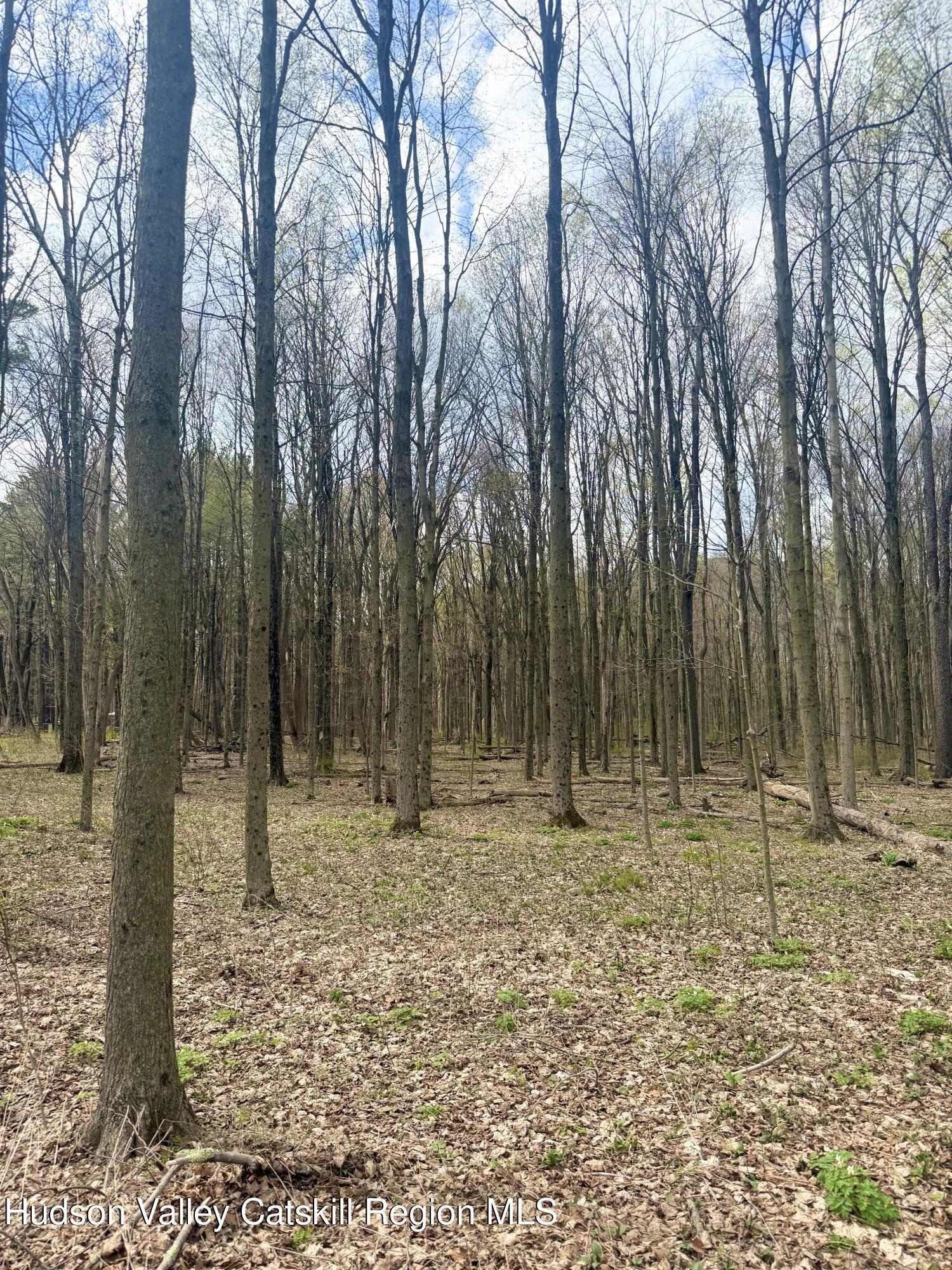 391 Pennsylvania Avenue