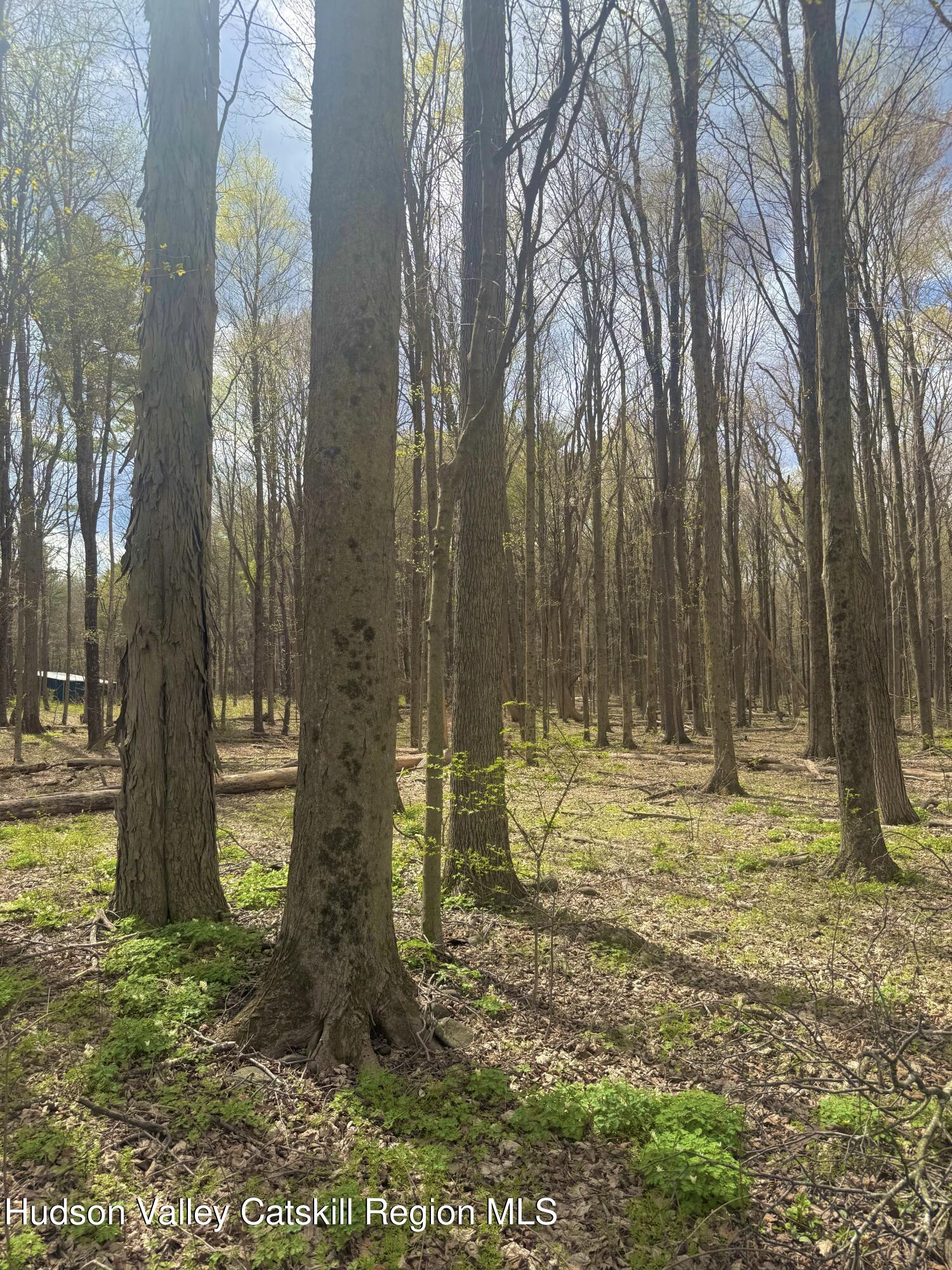 391 Pennsylvania Avenue